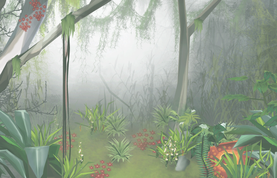 Tropical Rain Forest